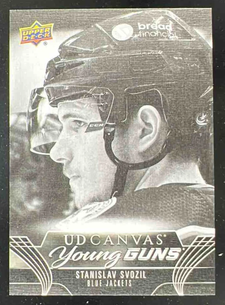 2023-24 Upper Deck UD Canvas Black & White #C219 Stanislav Svozil Young Guns RC