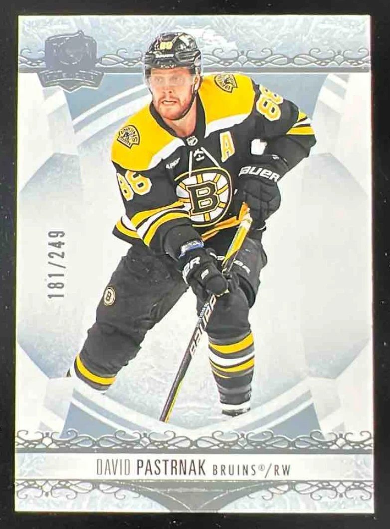 2022-23 Upper Deck The Cup #39 David Pastrnak /249