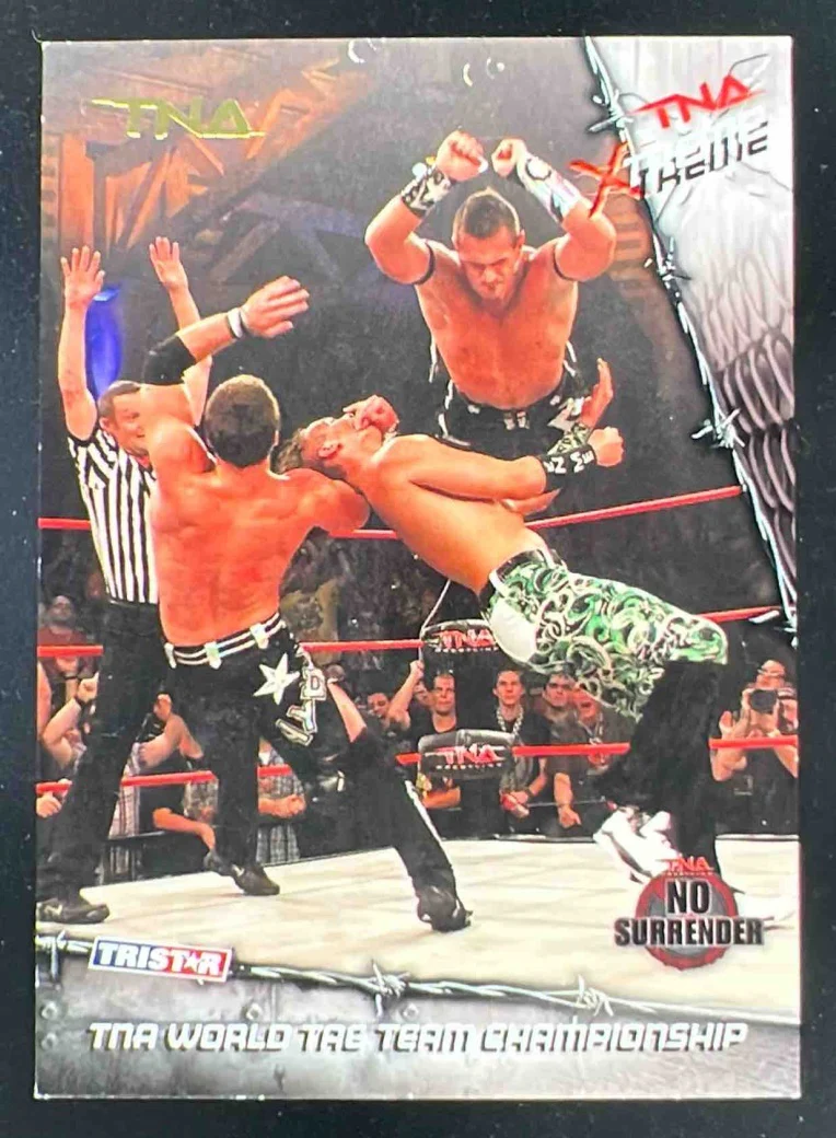 2010 TriStar TNA Xtreme Gold #38 TNA World Tag Team Championship /10