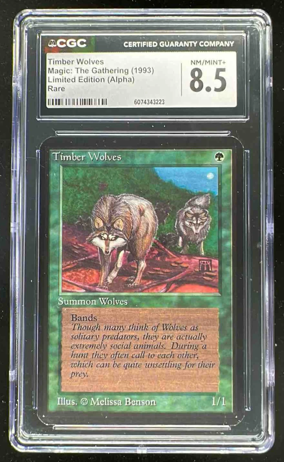 1993 Magic: The Gathering Limited Edition Alpha Timber Wolves CGC 8.5