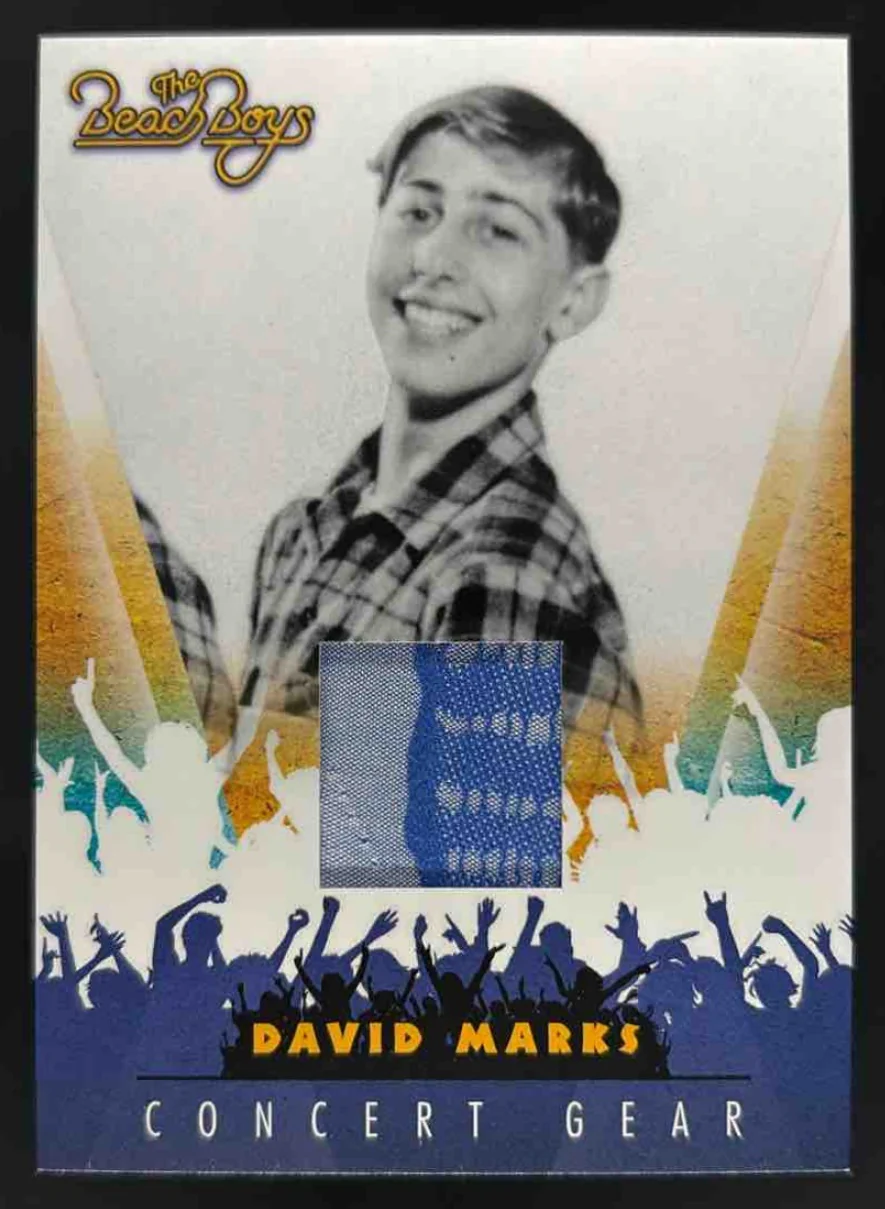 2013 Panini The Beach Boys Concert Gear #20 David Marks MEM
