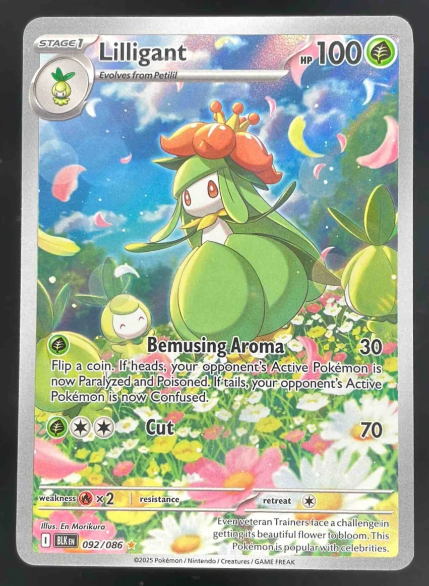 2025 Pokemon Black Bolt #092/086 Lilligant Illustration Rare