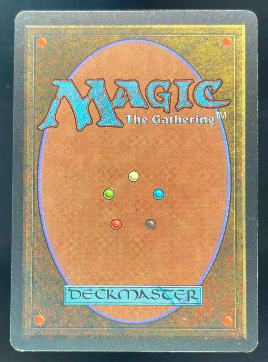 1993 Magic: The Gathering Unlimited #NNO Taiga - Image 2